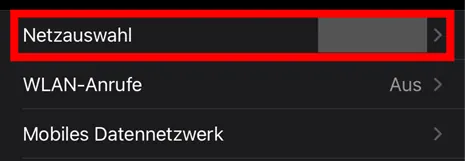 Der Menüpunkt „Netzauswahl“ ist rot hervorgehoben.