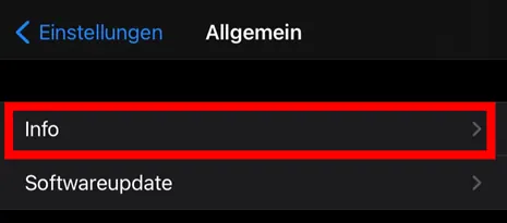 Screenshot eines iPhone-Einstellungsmenüs, genauer gesagt des rot markierten Abschnitts „Info“.
